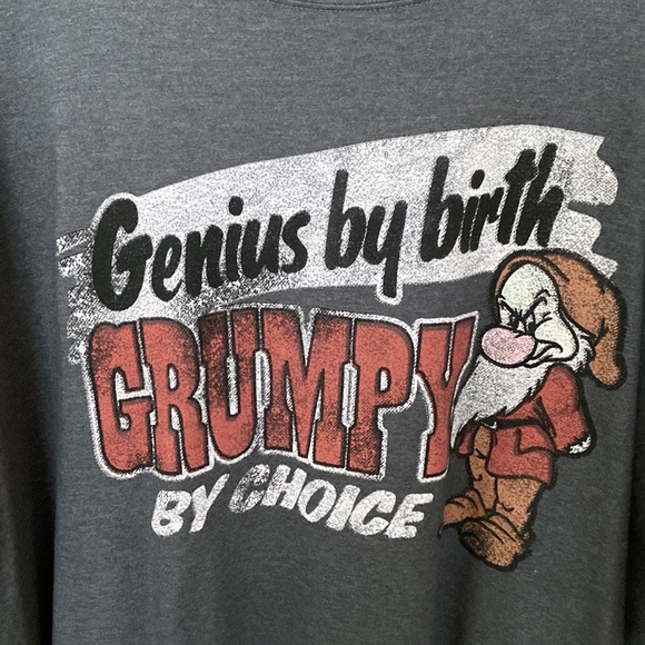 Walt Disney world grumpy tshirt - Picture 2 of 4